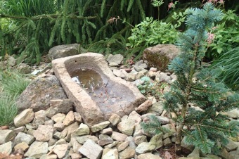 Škody v Arboretu Žampach po noční bouři dne 8.7.2015