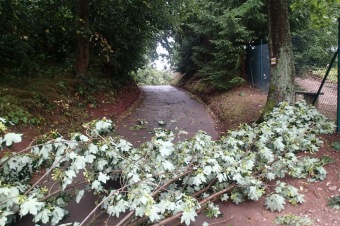 Škody v Arboretu Žampach po noční bouři dne 8.7.2015