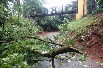 Škody v Arboretu Žampach po noční bouři dne 8.7.2015