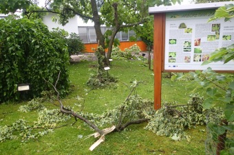Škody v Arboretu Žampach po noční bouři dne 8.7.2015