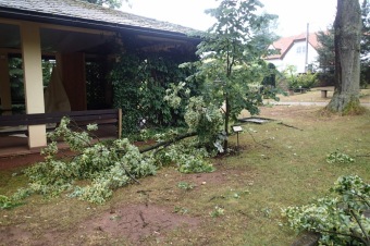 Škody v Arboretu Žampach po noční bouři dne 8.7.2015