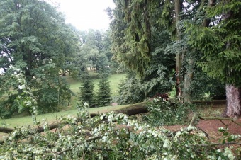 Škody v Arboretu Žampach po noční bouři dne 8.7.2015