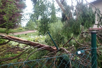 Škody v Arboretu Žampach po noční bouři dne 8.7.2015