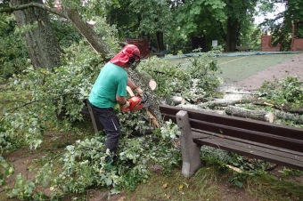 Škody v Arboretu Žampach po noční bouři dne 8.7.2015