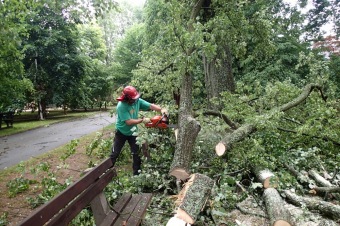 Škody v Arboretu Žampach po noční bouři dne 8.7.2015