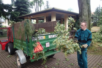 Škody v Arboretu Žampach po noční bouři dne 8.7.2015