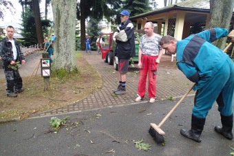 Škody v Arboretu Žampach po noční bouři dne 8.7.2015