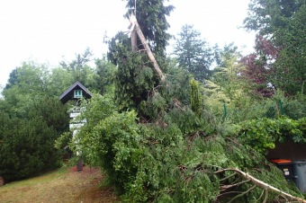 Škody v Arboretu Žampach po noční bouři dne 8.7.2015