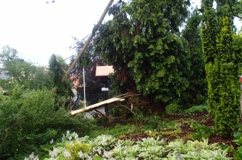 Škody v Arboretu Žampach po noční bouři dne 8.7.2015