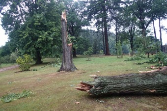 Škody v Arboretu Žampach po noční bouři dne 8.7.2015