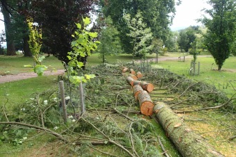 Škody a jejich likvidace v Arboretu Žampach po noční bouři dne 8.7.2015