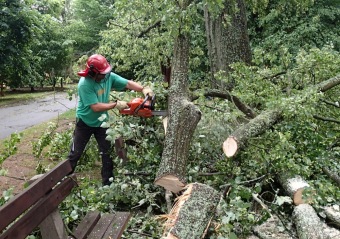 Škody v Arboretu Žampach po noční bouři dne 8.7.2015
