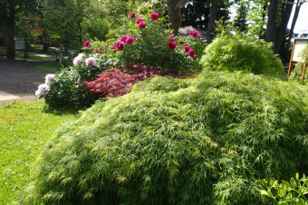 Arboretum Žampach - fotografie na začátku sezony - 22.5. 2015