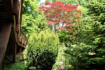 Arboretum Žampach - fotografie na začátku sezony - 22.5. 2015