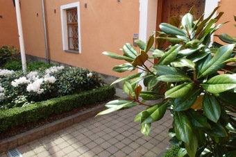 Arboretum Žampach - fotografie na začátku sezony - 22.5. 2015