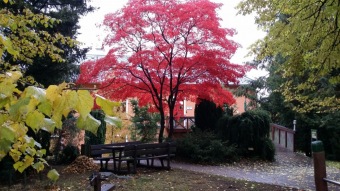 27.10. 2016 Podzim v Arboretu Žampach