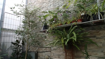 27.10. 2016 Podzim v Arboretu Žampach