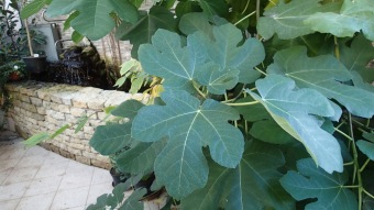 27.10. 2016 Podzim v Arboretu Žampach