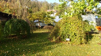 27.10. 2016 Podzim v Arboretu Žampach