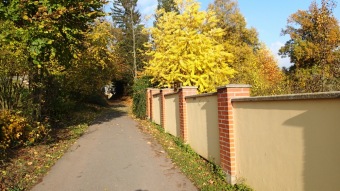 27.10. 2016 Podzim v Arboretu Žampach