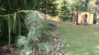 27.10. 2016 Podzim v Arboretu Žampach