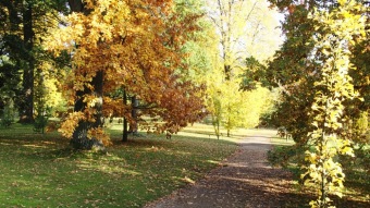 27.10. 2016 Podzim v Arboretu Žampach