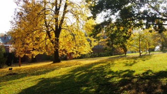 27.10. 2016 Podzim v Arboretu Žampach