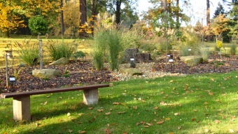 27.10. 2016 Podzim v Arboretu Žampach