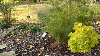 27.10. 2016 Podzim v Arboretu Žampach