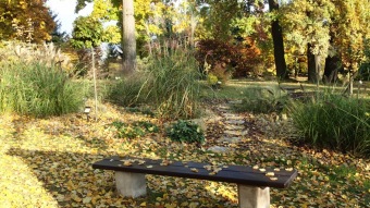 27.10. 2016 Podzim v Arboretu Žampach