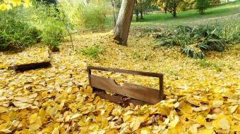 27.10. 2016 Podzim v Arboretu Žampach