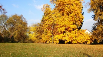 27.10. 2016 Podzim v Arboretu Žampach