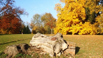 27.10. 2016 Podzim v Arboretu Žampach