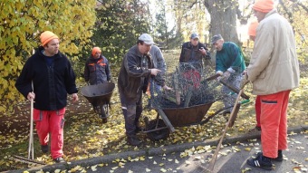 27.10. 2016 Podzim v Arboretu Žampach