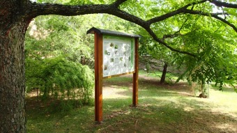 2016 Arboretum Žampach - konec léta (16.9.)