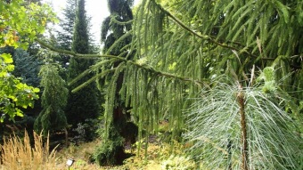 2016 Arboretum Žampach - konec léta (16.9.)