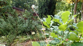 2016 Arboretum Žampach - konec léta (16.9.)