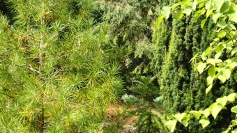 2016 Arboretum Žampach - konec léta (16.9.)