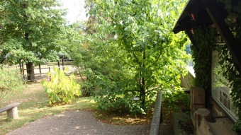 2016 Arboretum Žampach - konec léta (16.9.)