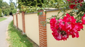 2016 Arboretum Žampach - konec léta (16.9.)