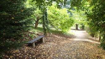 2016 Arboretum Žampach - konec léta (16.9.)