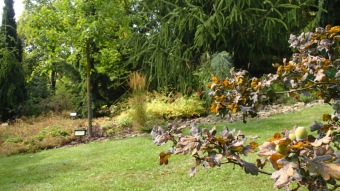 2016 Arboretum Žampach - konec léta (16.9.)