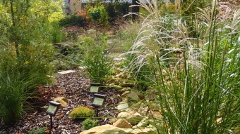 2016 Arboretum Žampach - konec léta (16.9.)