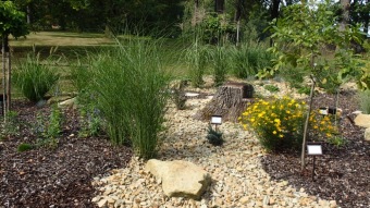 2016 Arboretum Žampach - konec léta (16.9.)