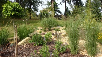 2016 Arboretum Žampach - konec léta (16.9.)