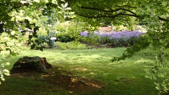 2016 Arboretum Žampach - konec léta (16.9.)