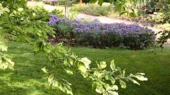 2016 Arboretum Žampach - konec léta (16.9.)