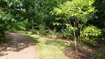 2016 Arboretum Žampach - konec léta (16.9.)