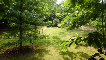 2016 Arboretum Žampach - konec léta (16.9.)