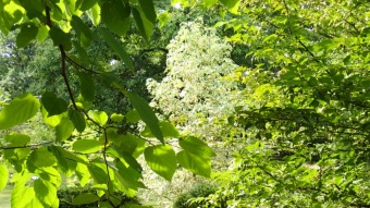 2016 Arboretum Žampach - konec léta (16.9.)